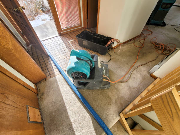 Best Sewage cleanup and water damage restoration  in Lakewood, SC