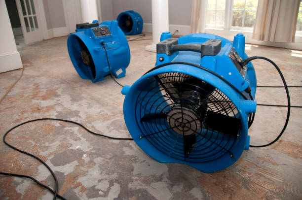 Local water damage restoration in Lakewood, SC