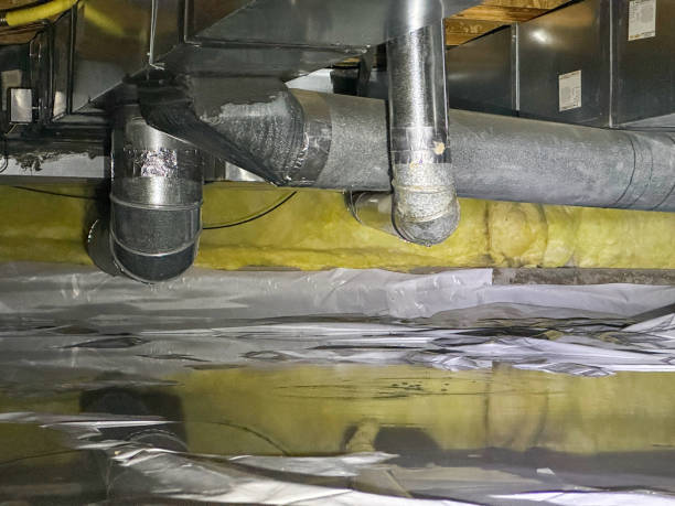 Best Basement water damage restoration  in Lakewood, SC